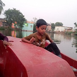 Hasim