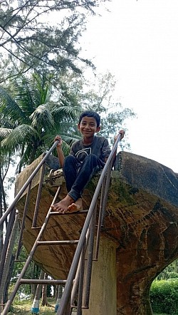 Hasim