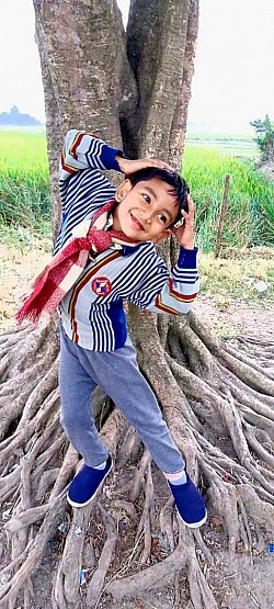 Hasim