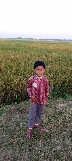 Hasim